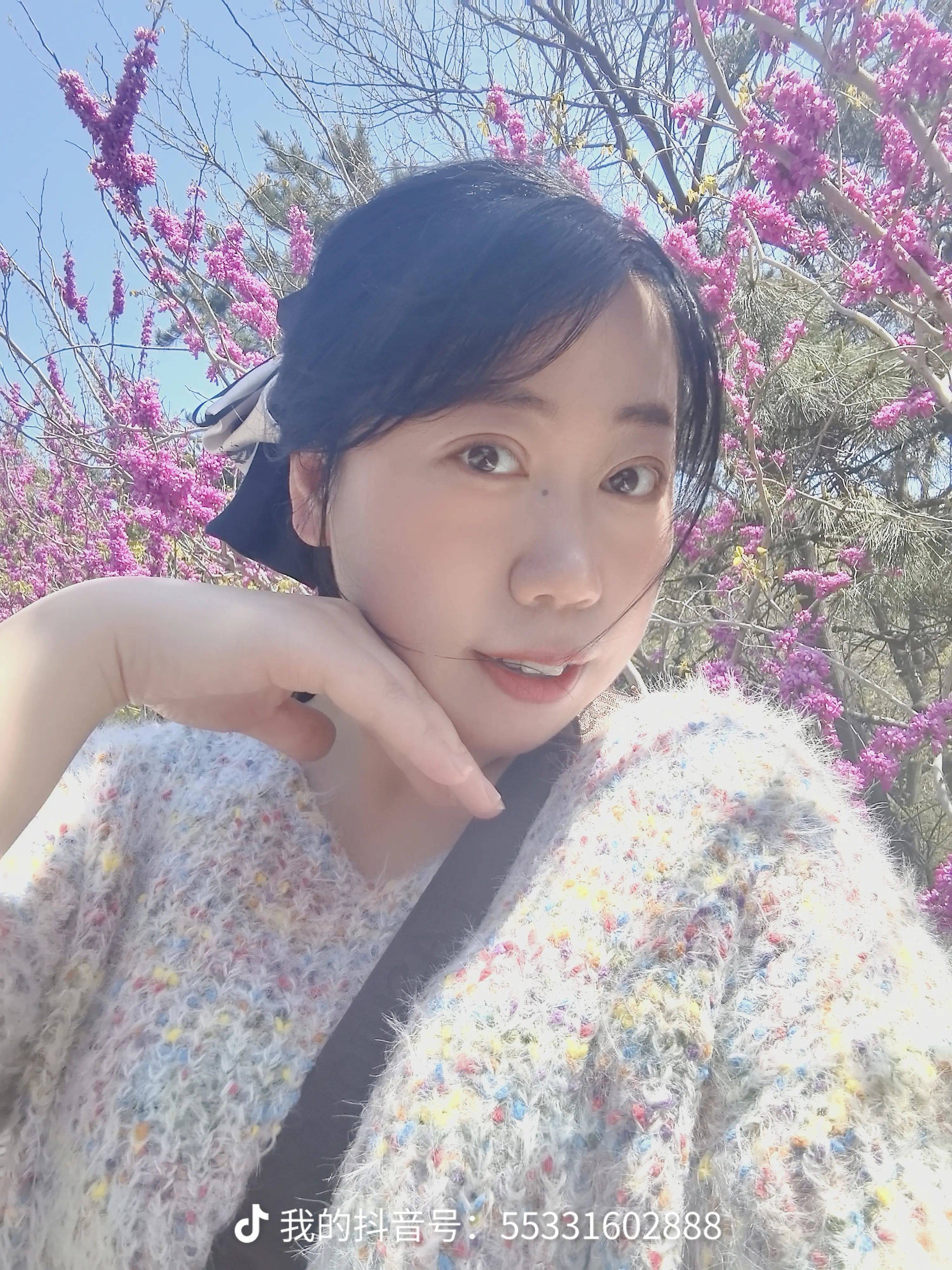 蘸雪为墨