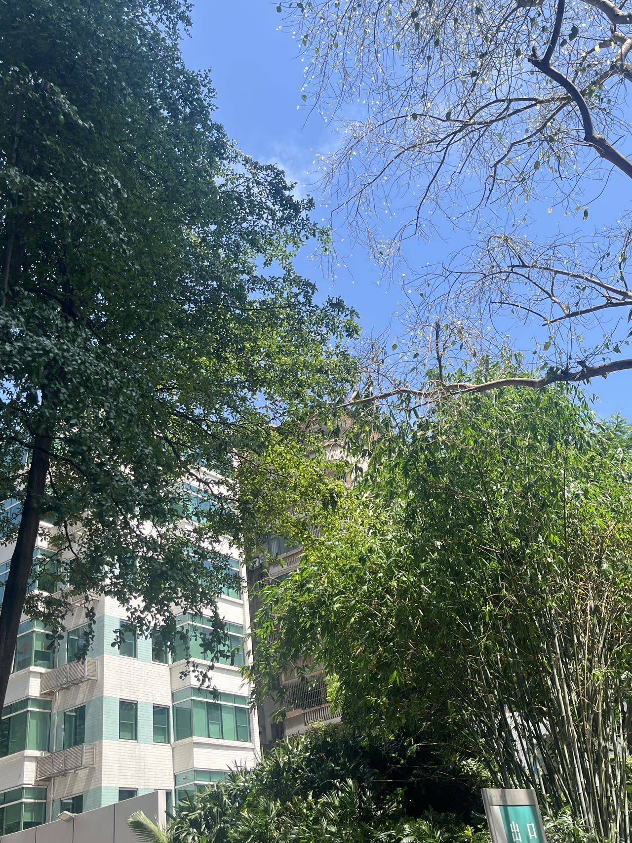 小王正在晒太阳🌞