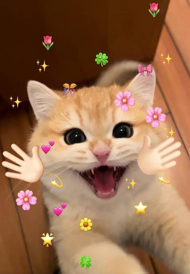 徐泾北城转租