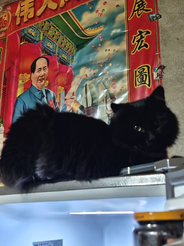 来个人租我的房吧