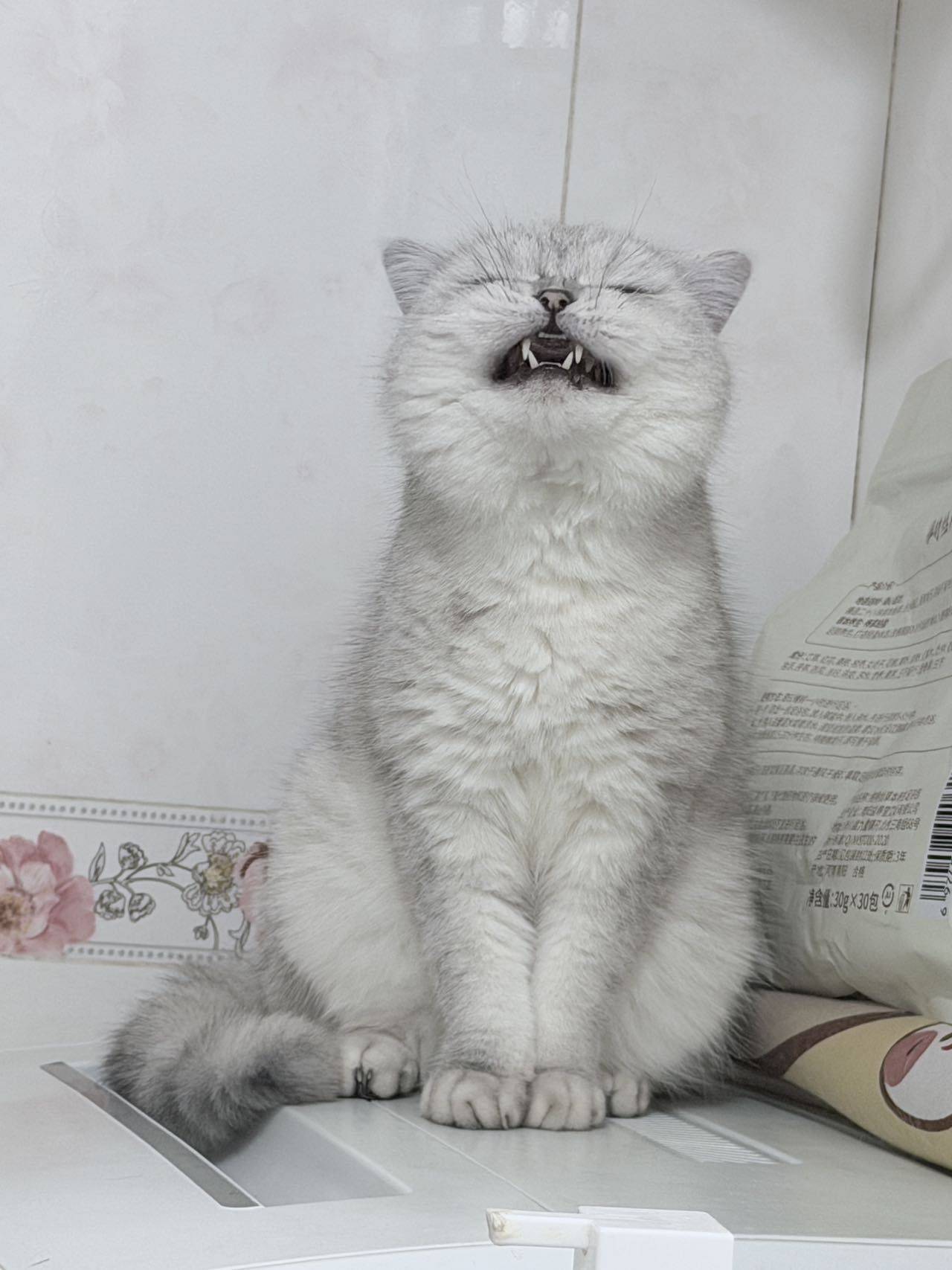 冬时安