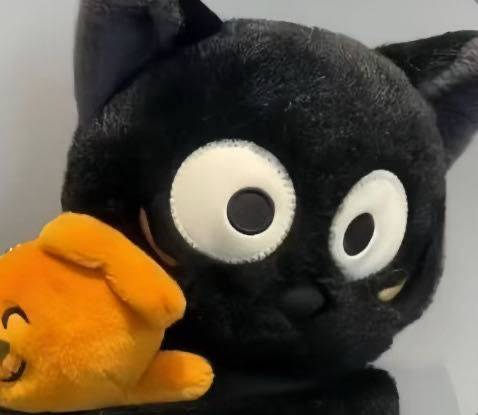 vv