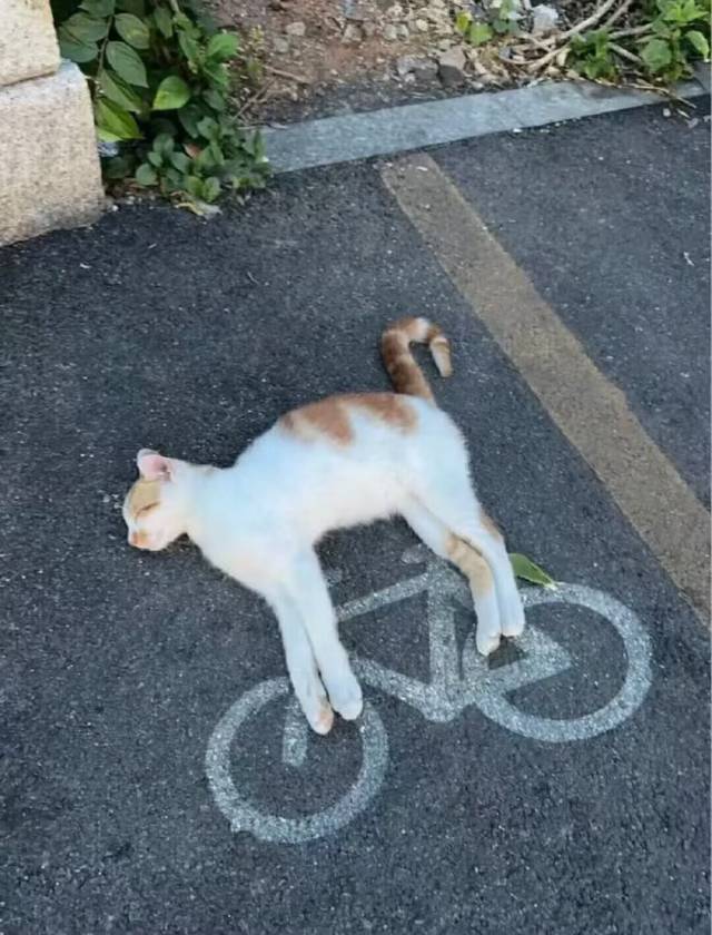 南方