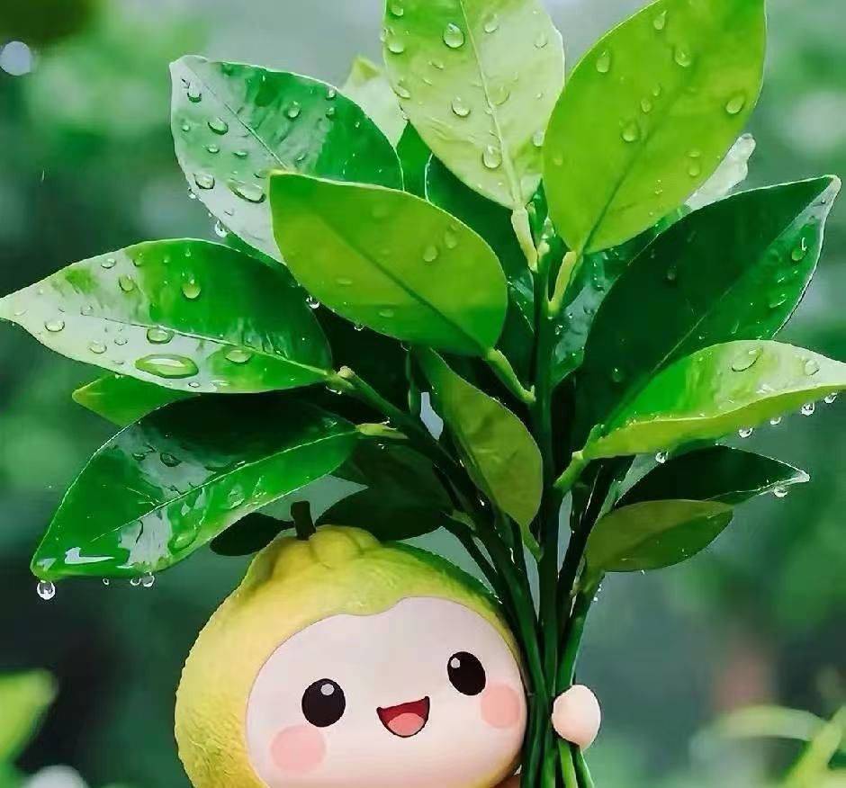 悠悠