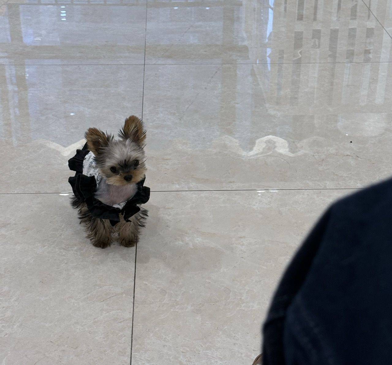 Tima🦋