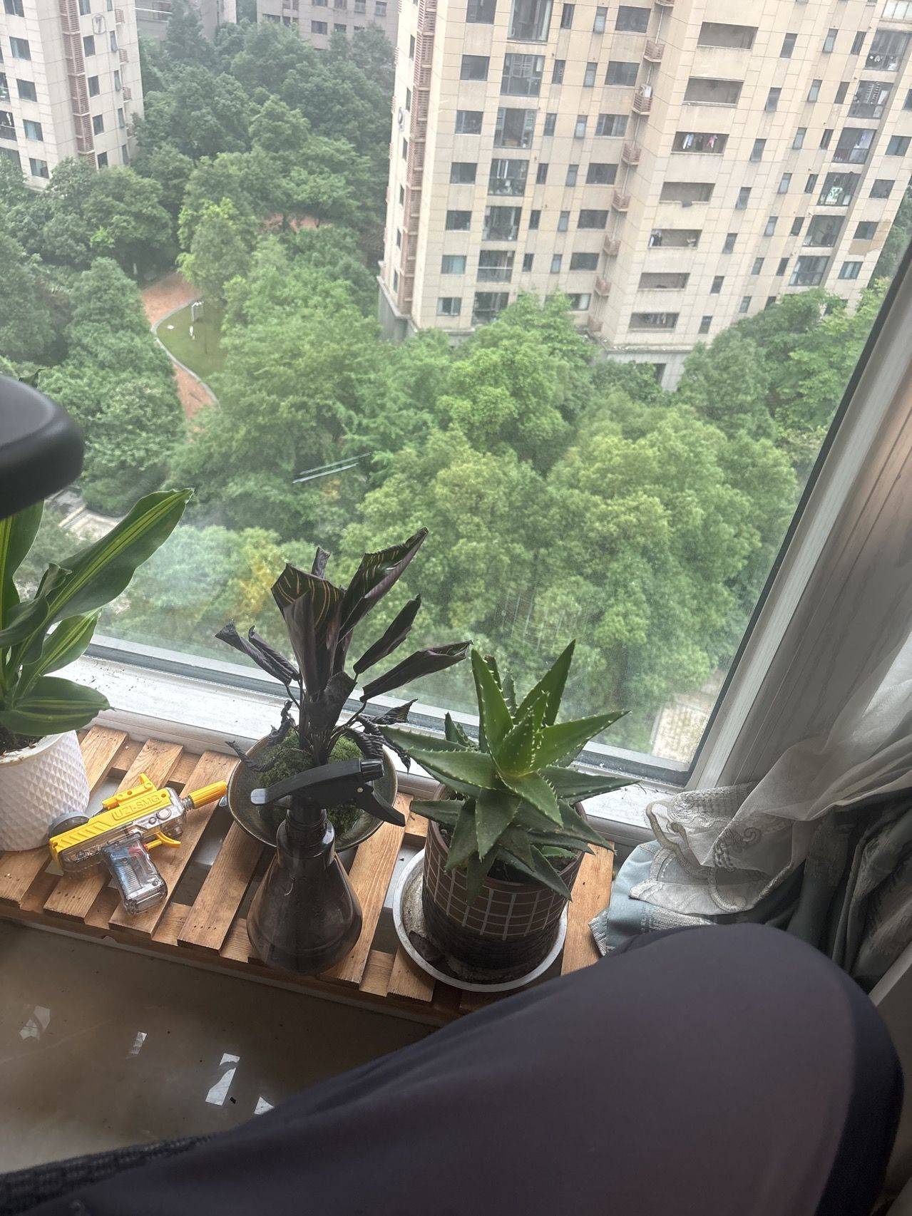 好家伙