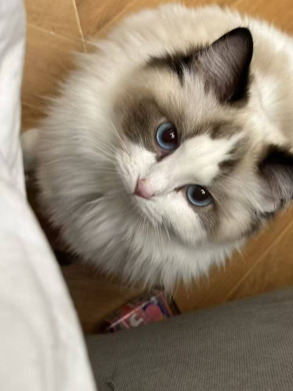 极限竞速