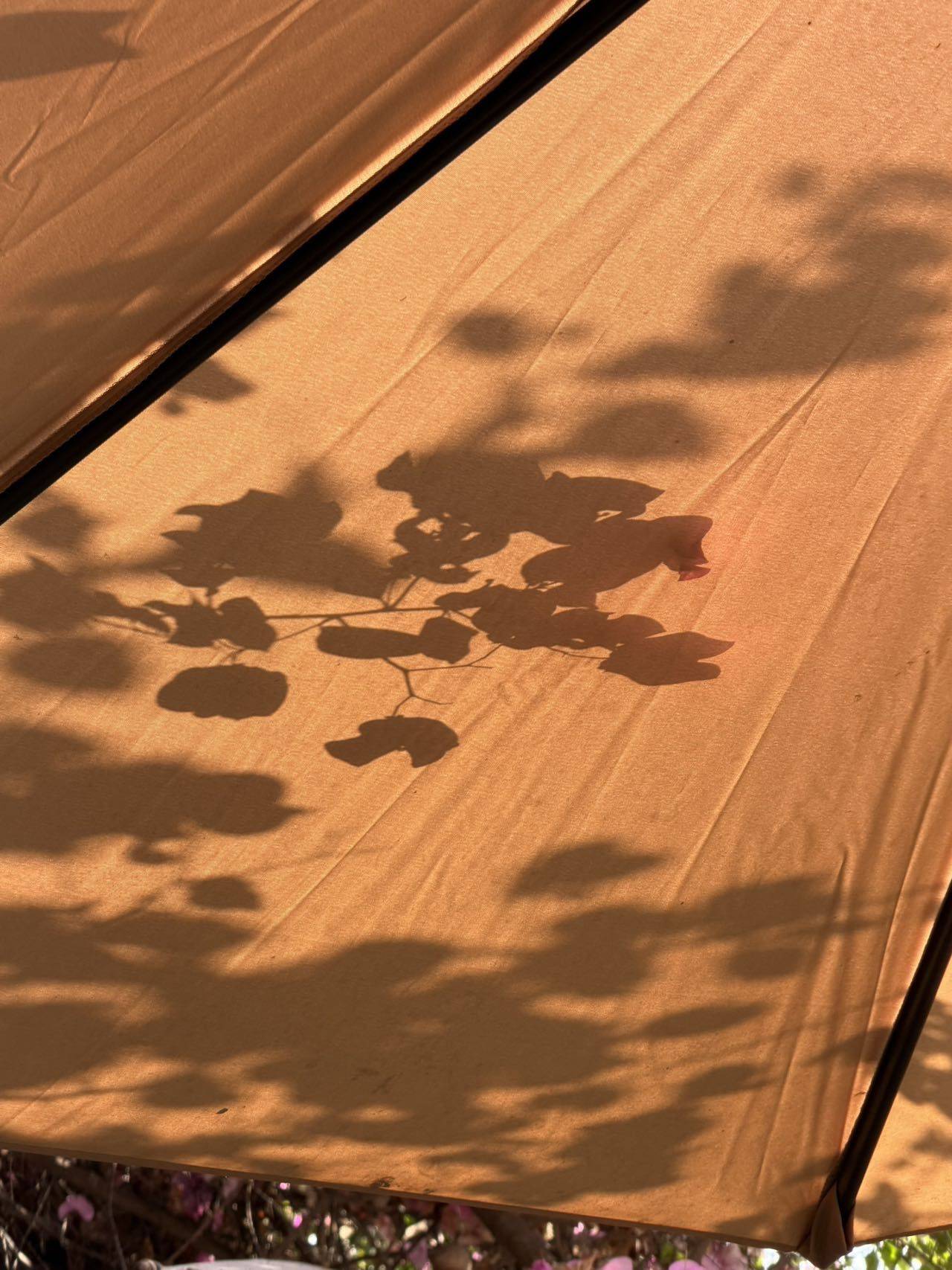 :D