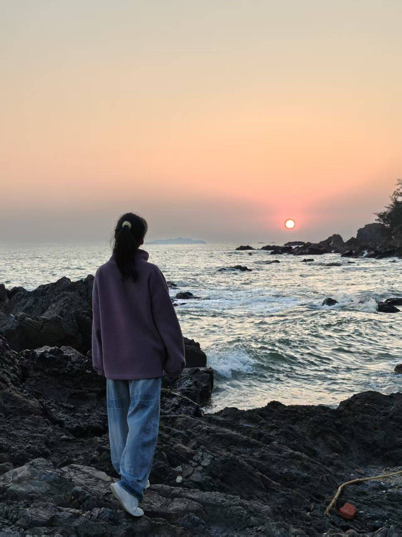 找舍友呀