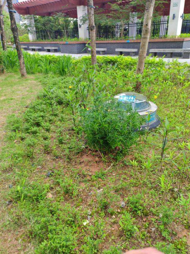 听涛