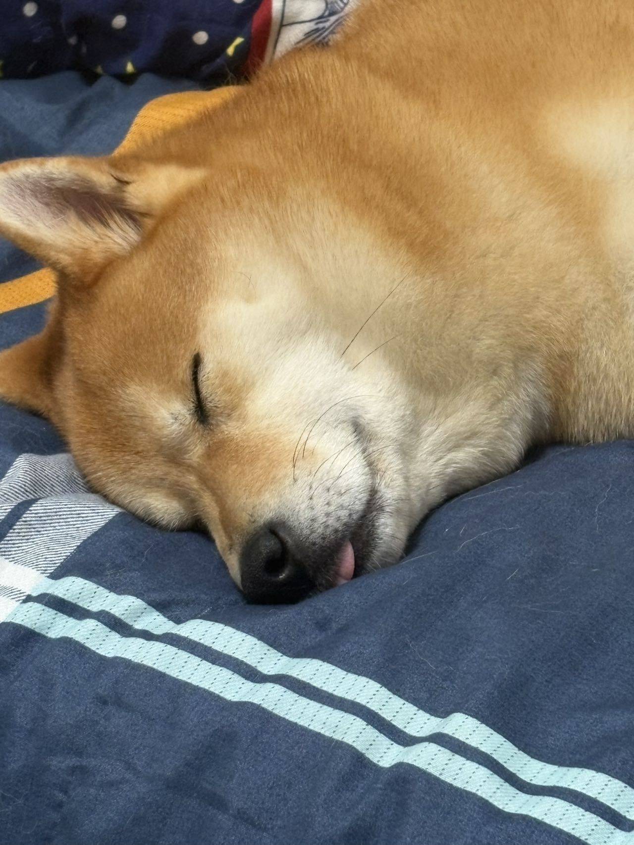 :D