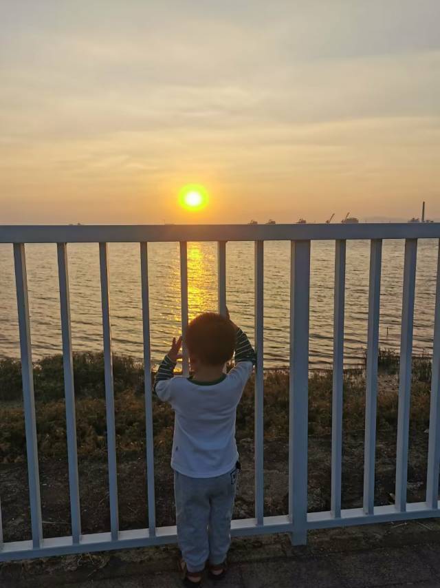 乐乐