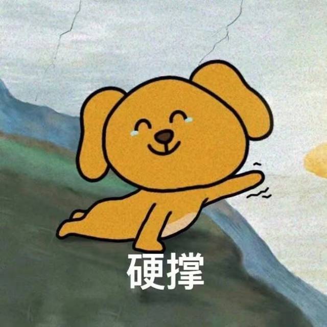 布布