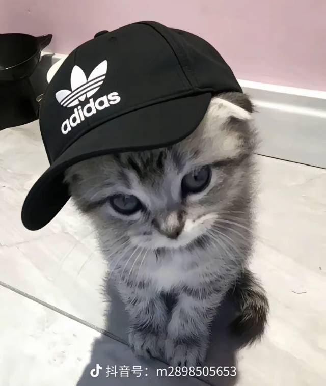 小宁先生