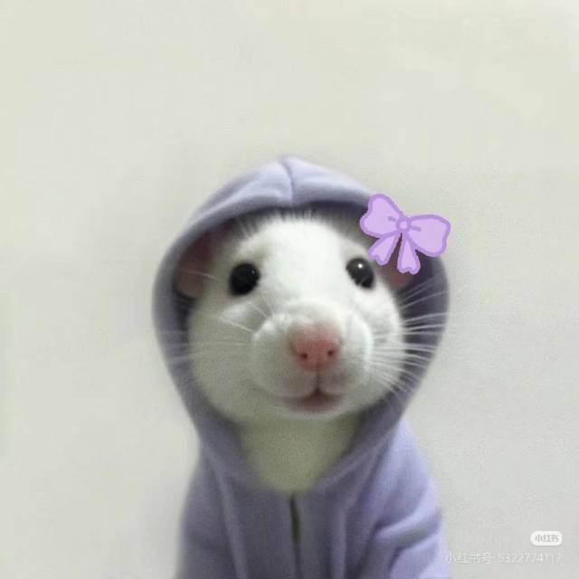 吴