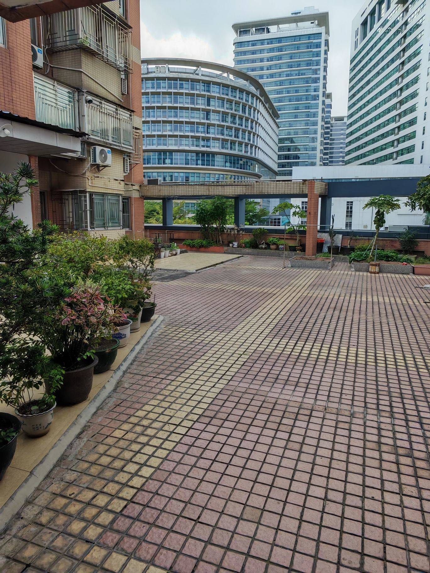 life_photo_0