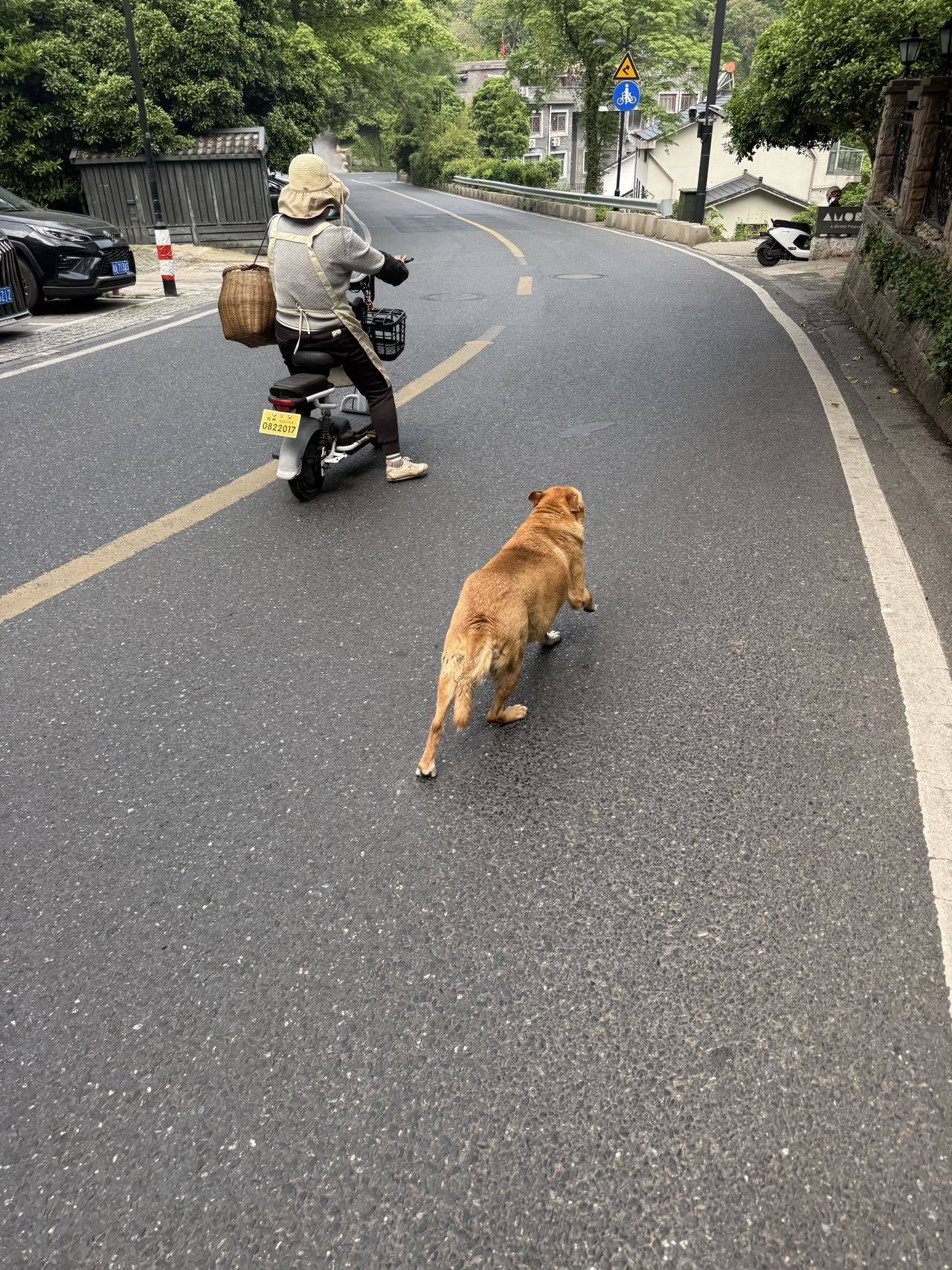 北风