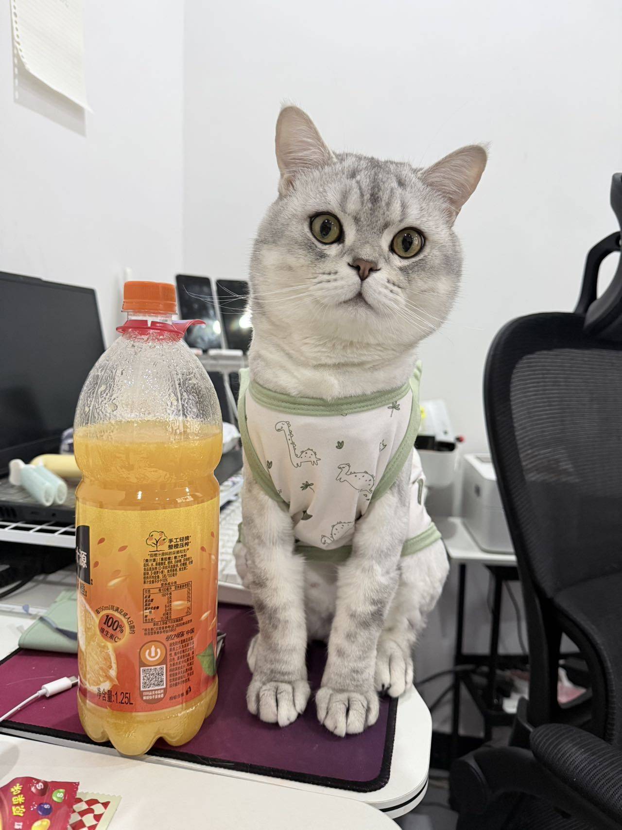 빙수