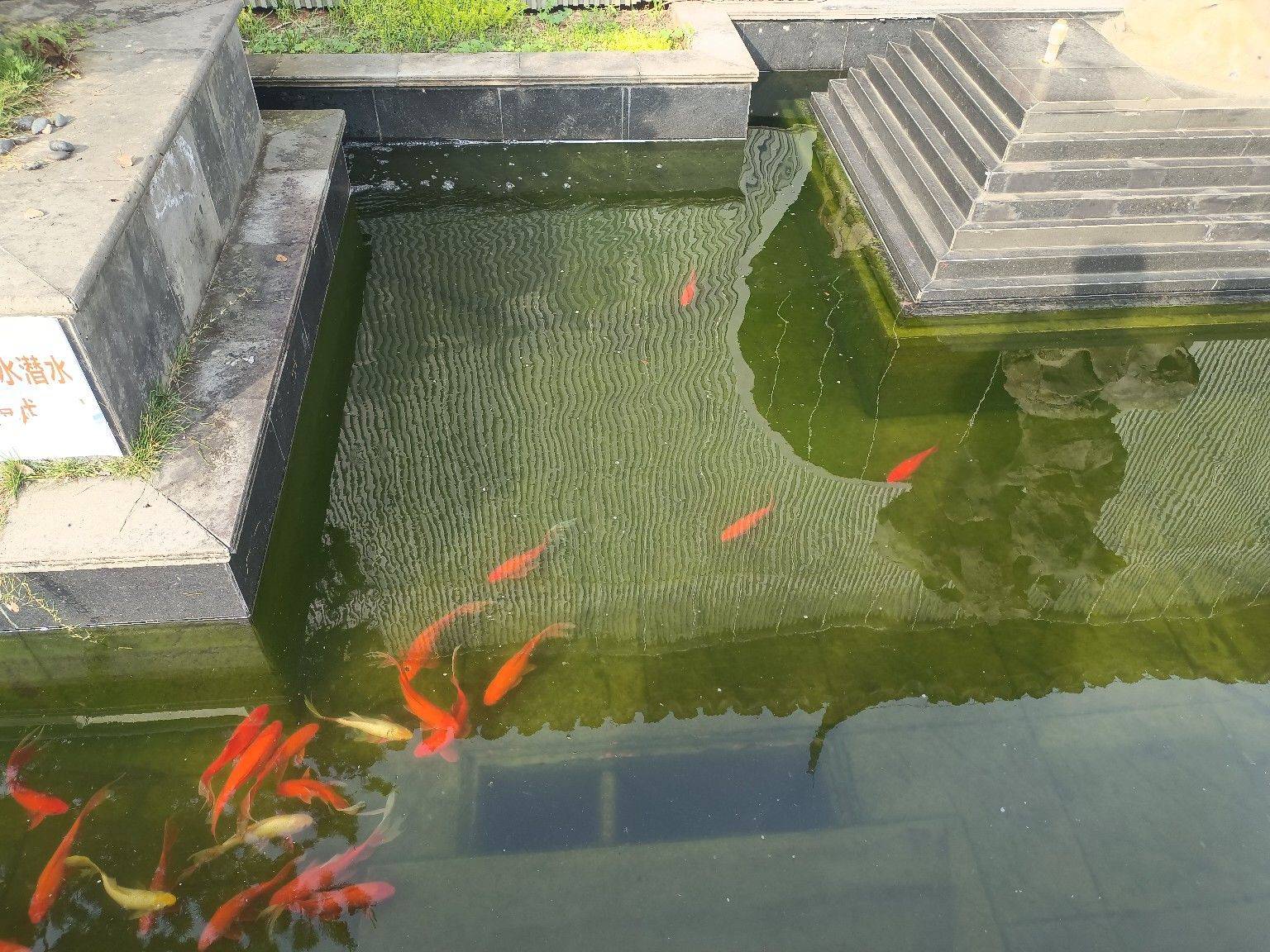 惠忠