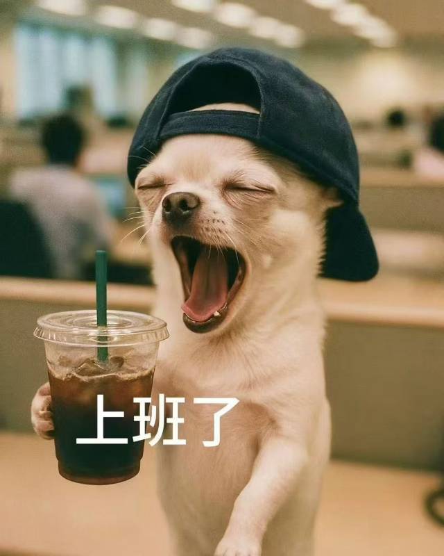 你的守护辰づ
