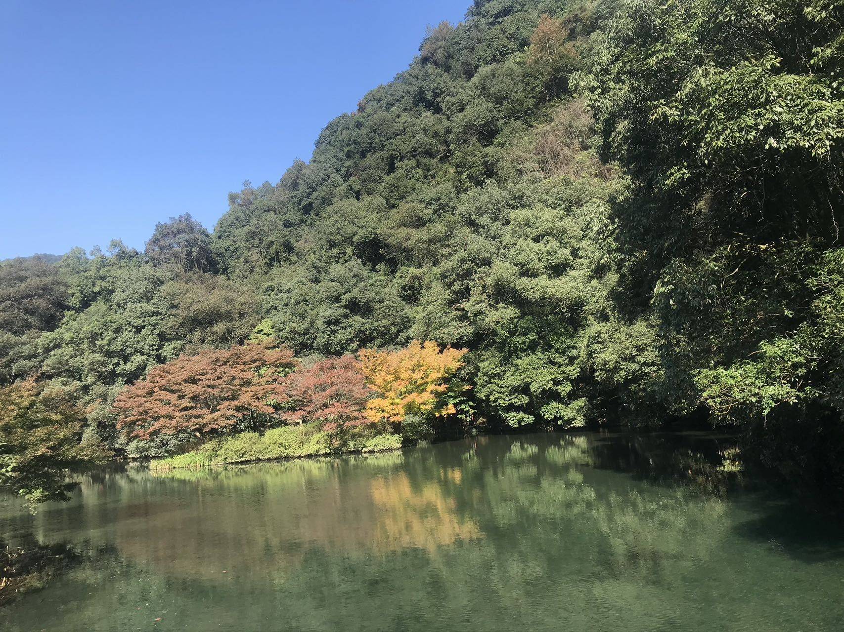 斜楞谁呢