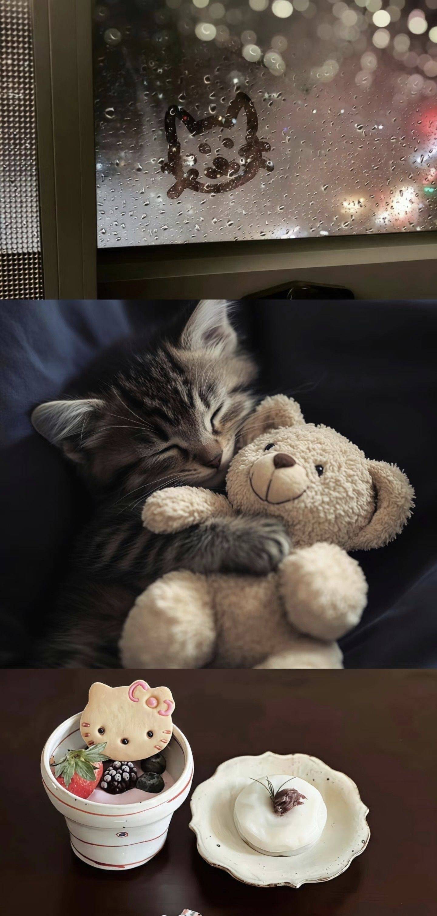 life_photo_0