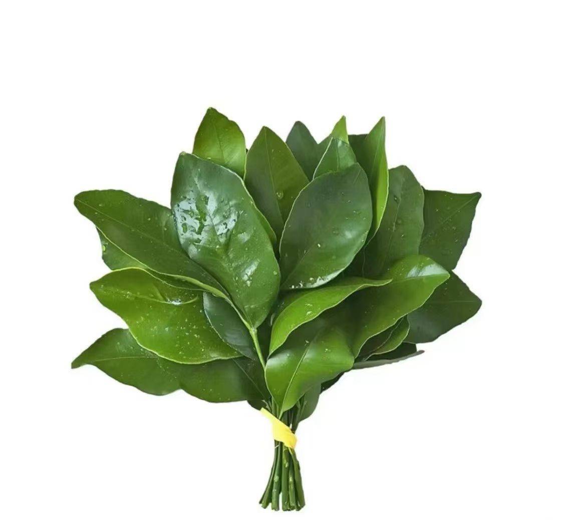 酣睡的小王.