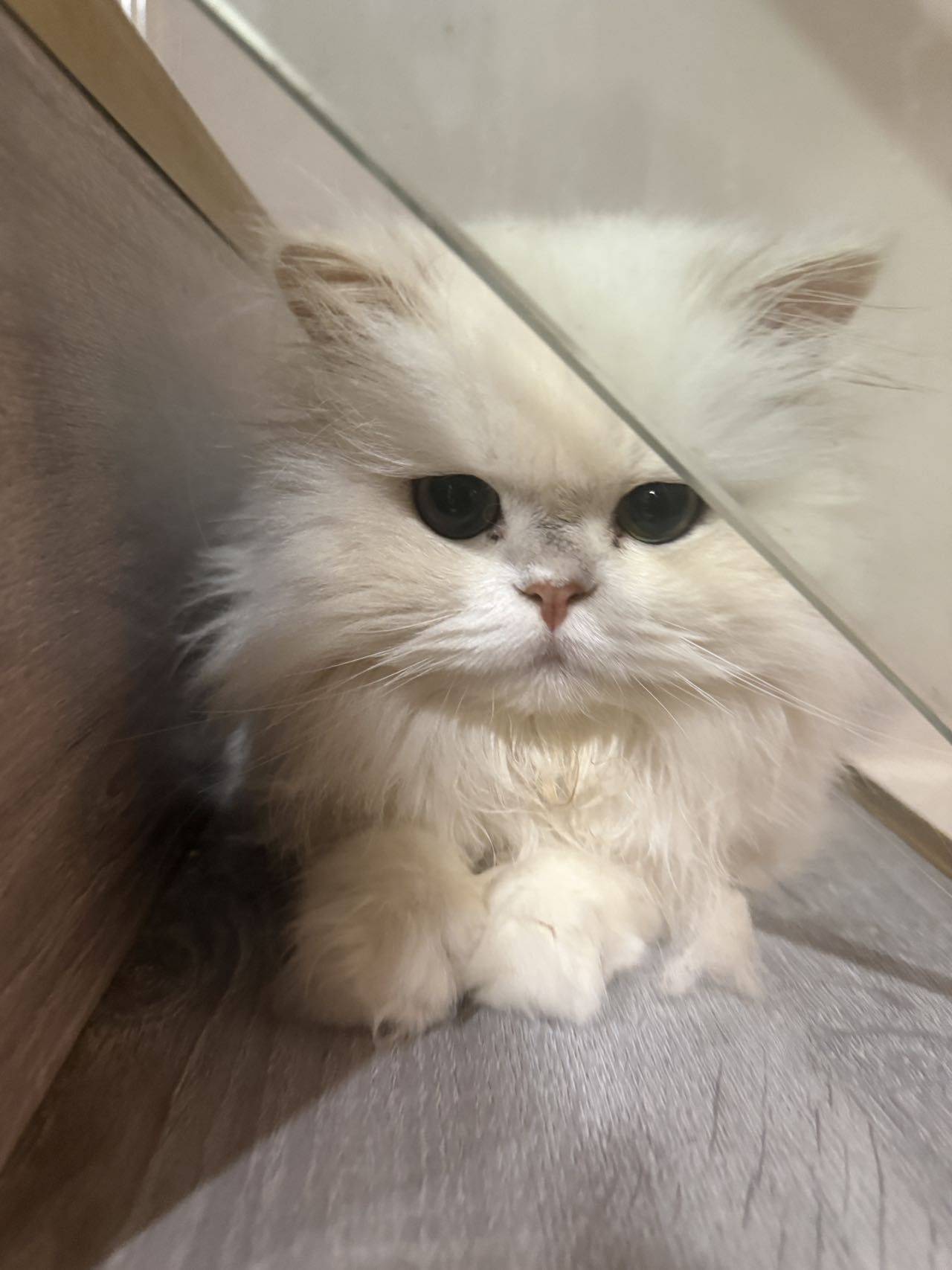 建材批发王大爷
