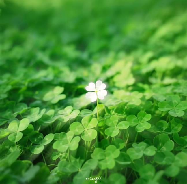四海