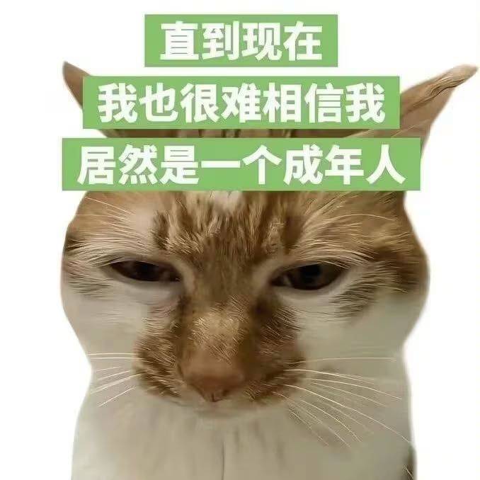 凉泊