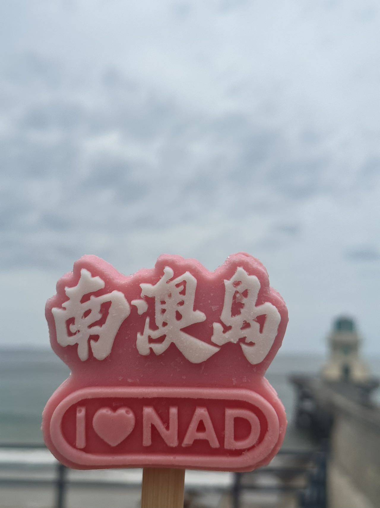 🎀🌺