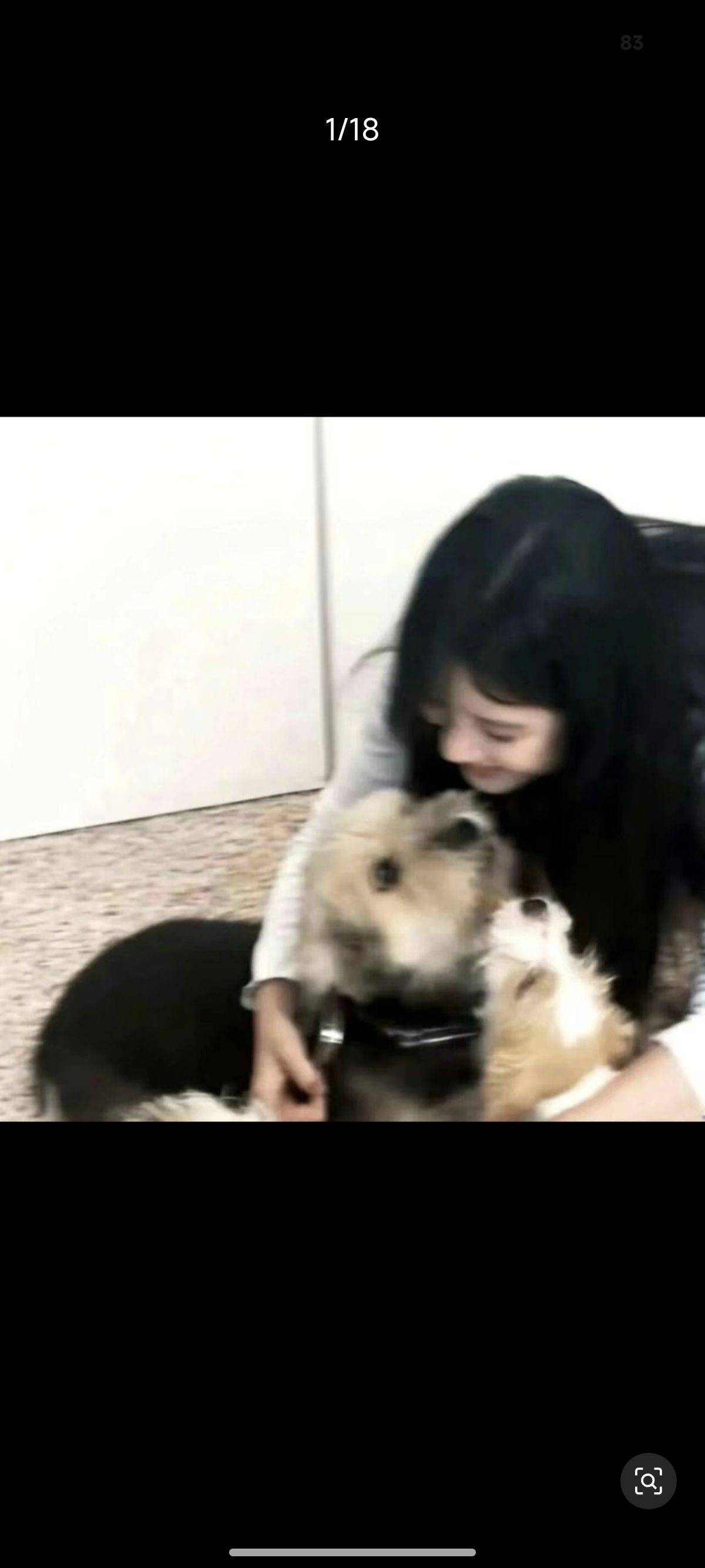 小白