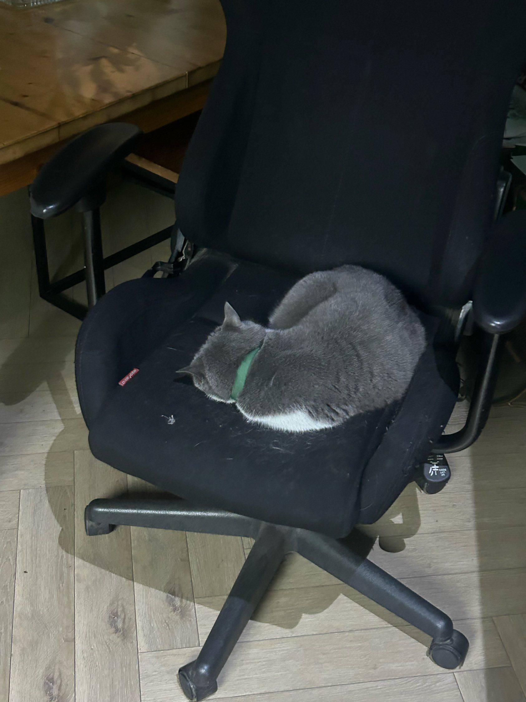 zzz