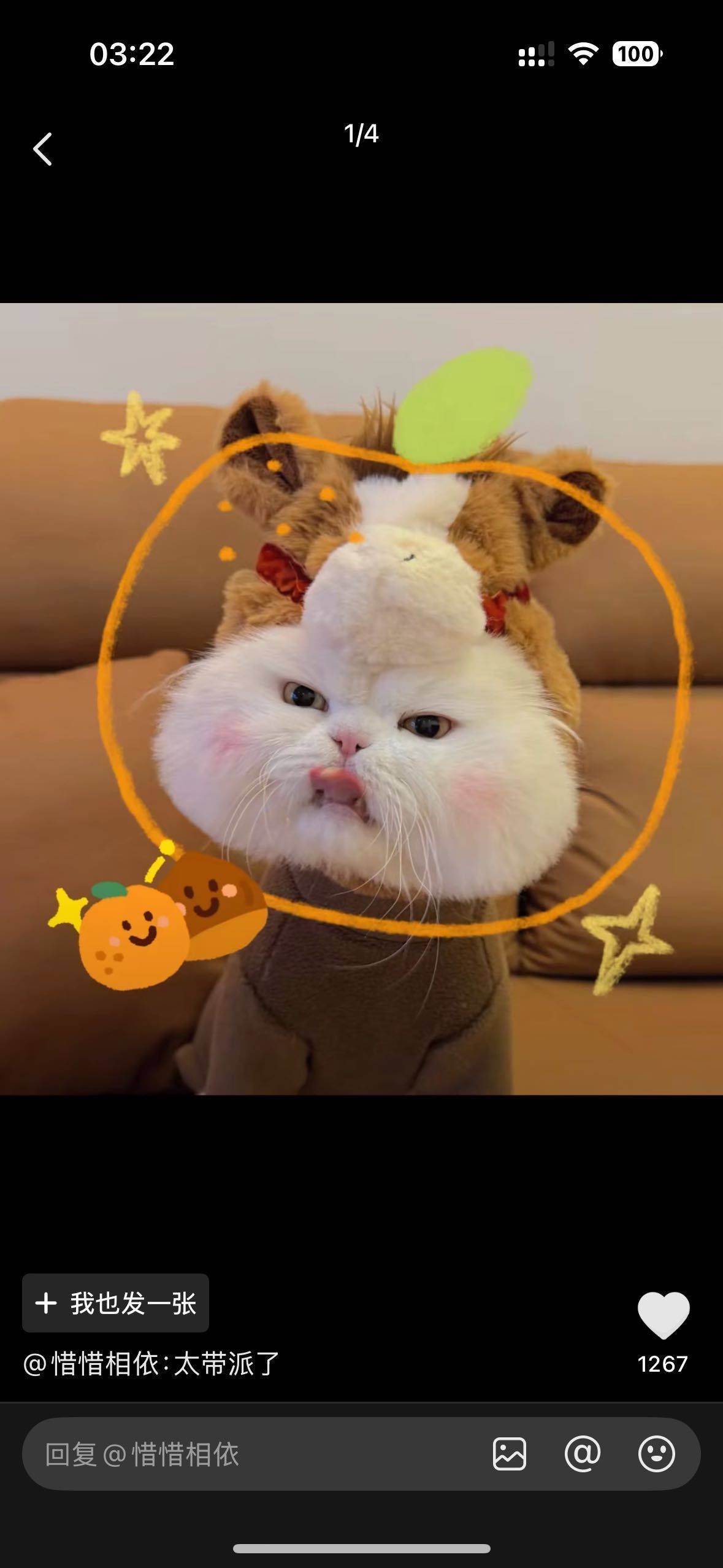 椿