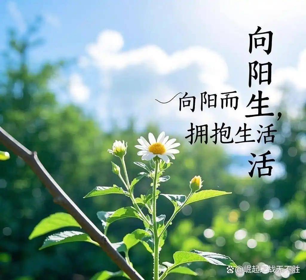 清灵水心爱
