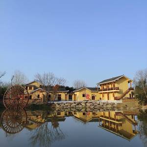 会飞的鱼