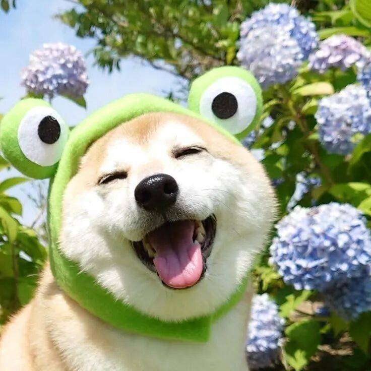 早睡