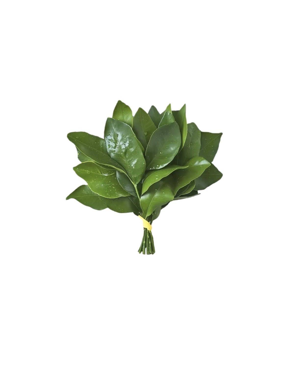 小鲤