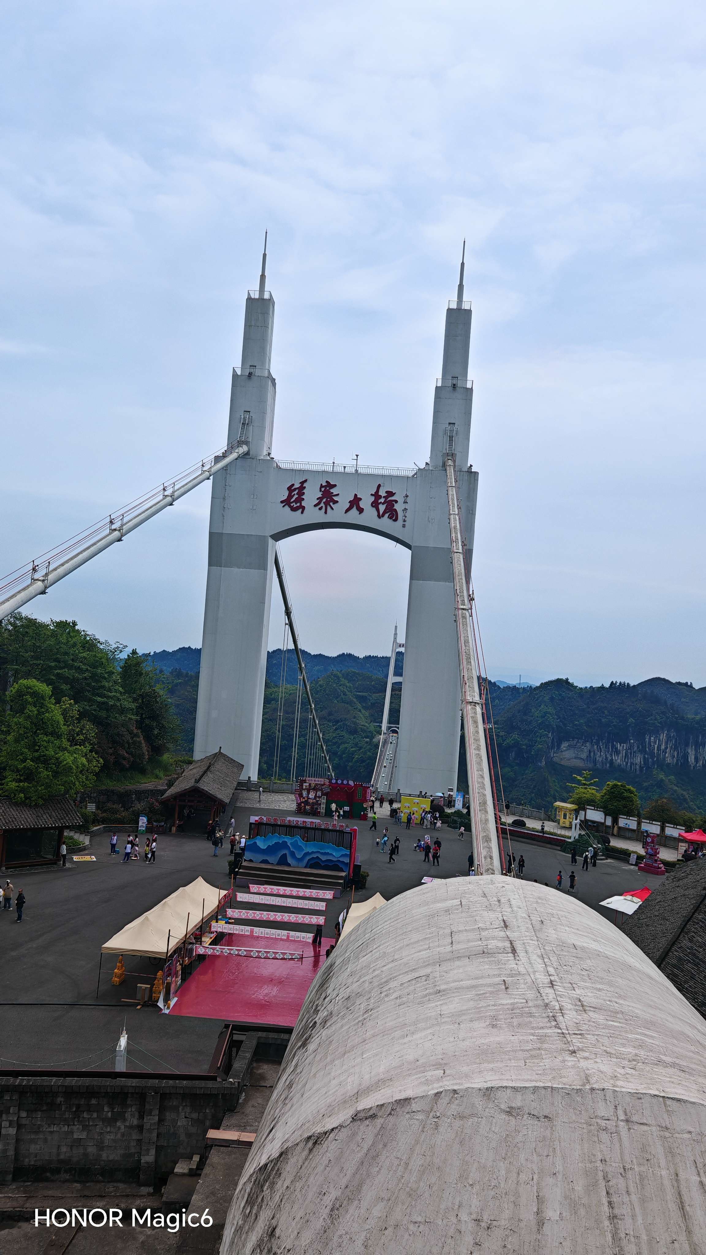 肆意绽放吧