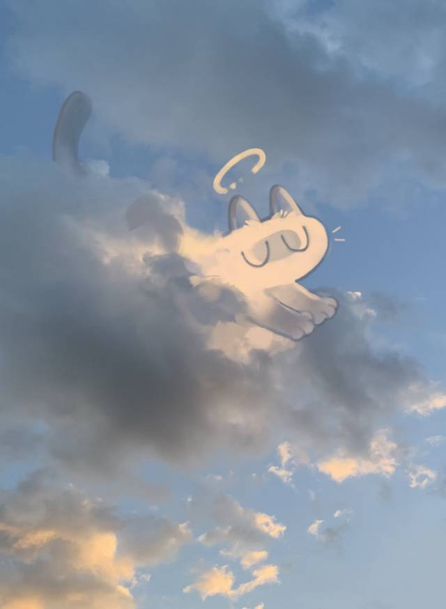 啦啦啦啦啦