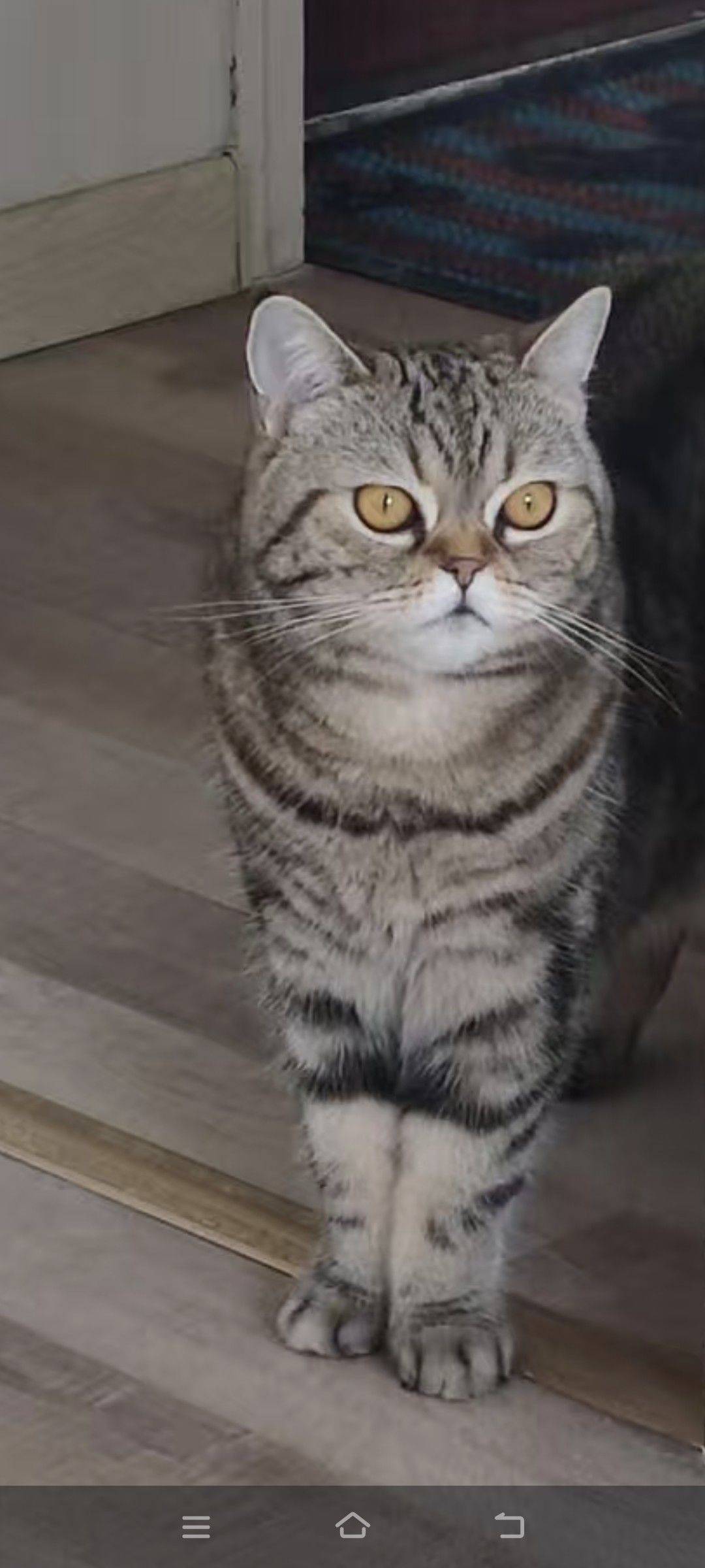 净心