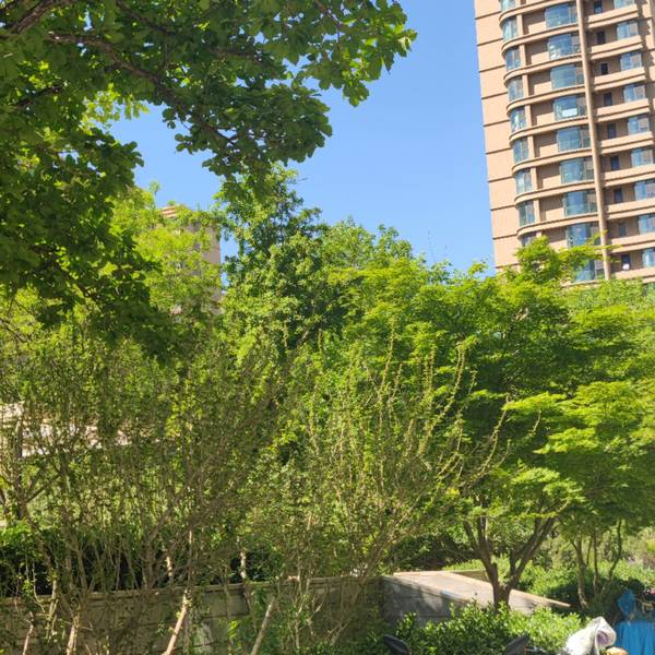 小满