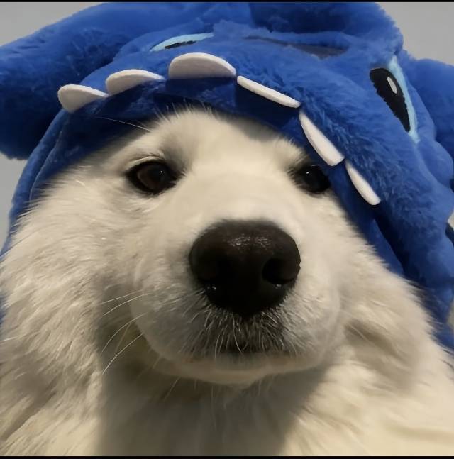 热带鱼
