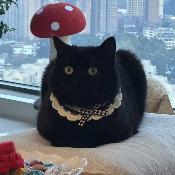 欣