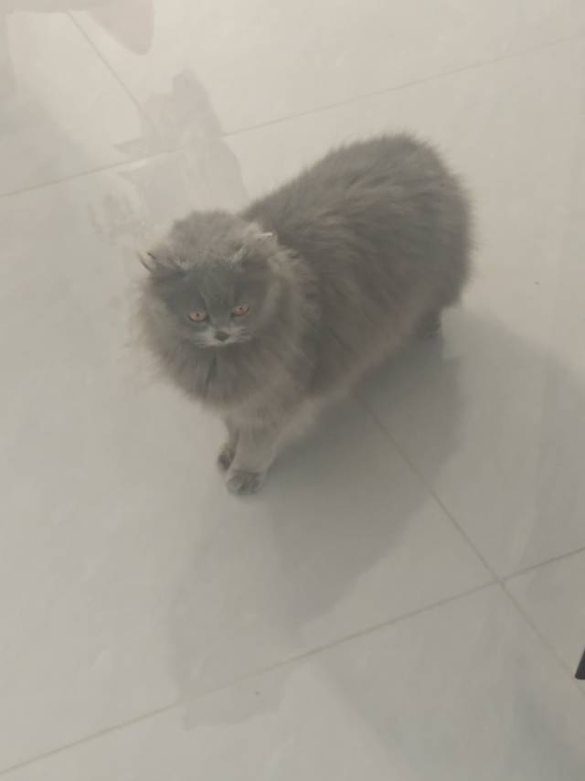 111
