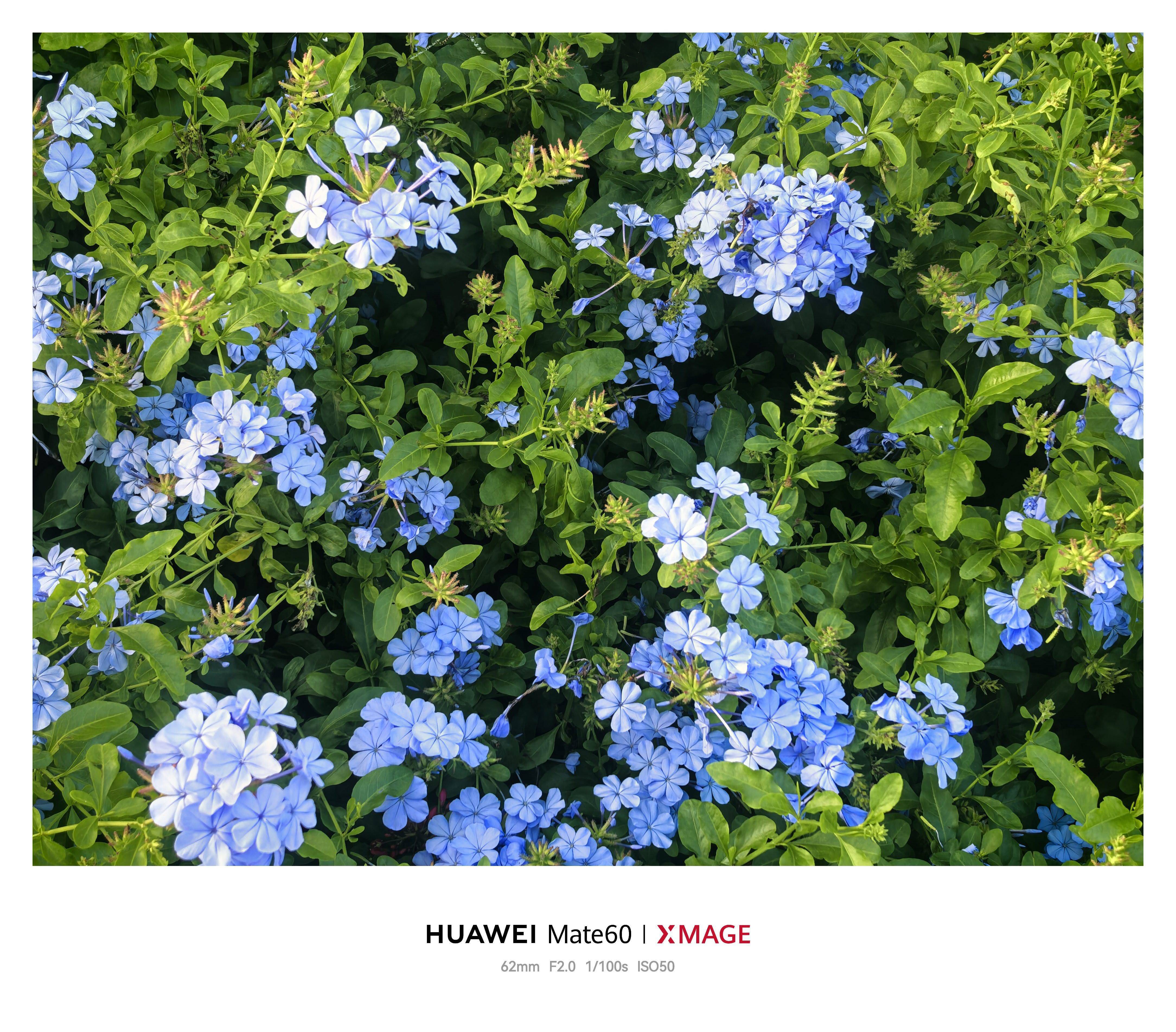 life_photo_0