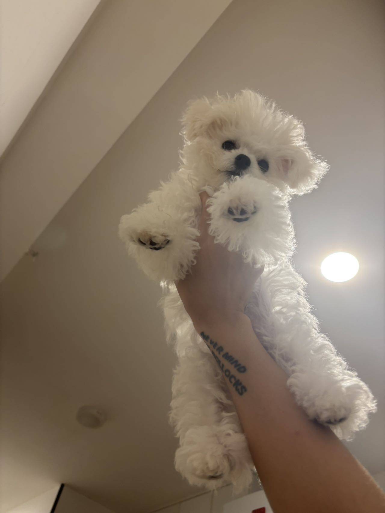 ：