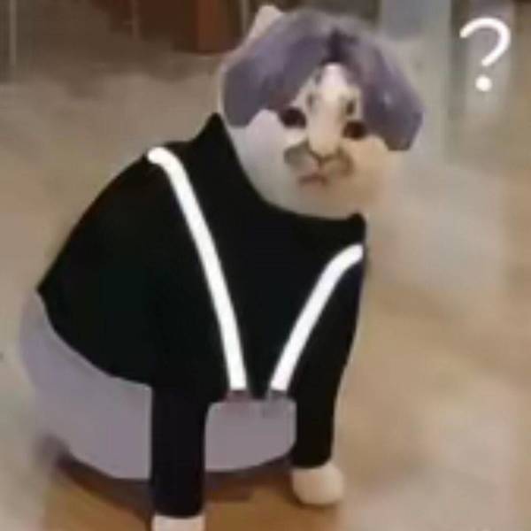 杨先生