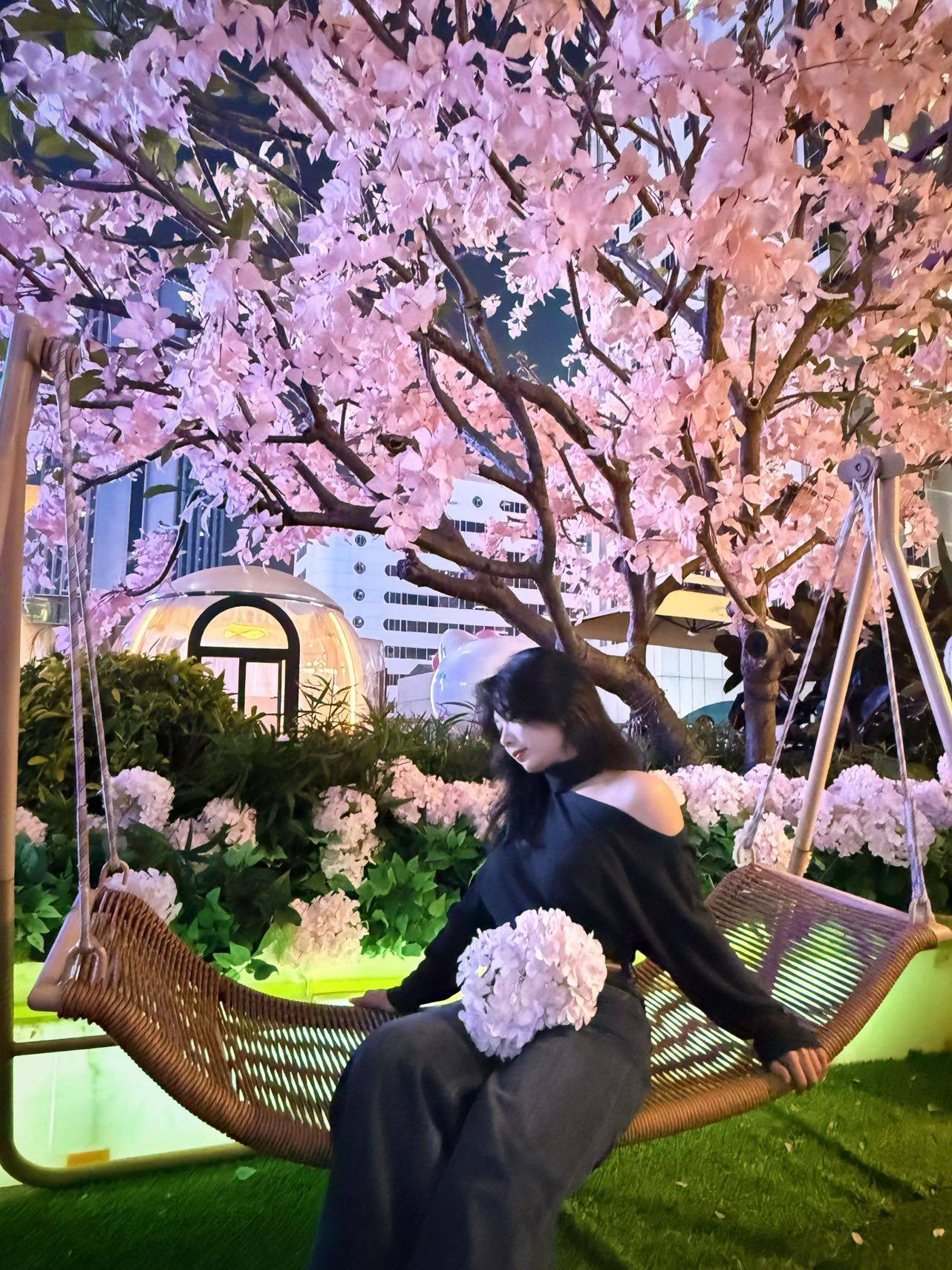 曦月