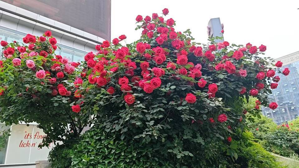 人生就是一场体验，要尽兴